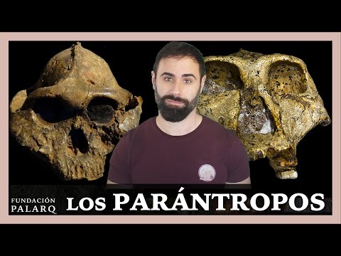🔹 Los PARÁNTROPOS | Las principales especies de homininos y etapas de la prehistoria