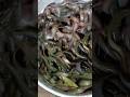 শিঙ্গি মাছের বাজার দেখুন বন্ধুরা, কতো মাছ 😱 #fish #shorts #viral