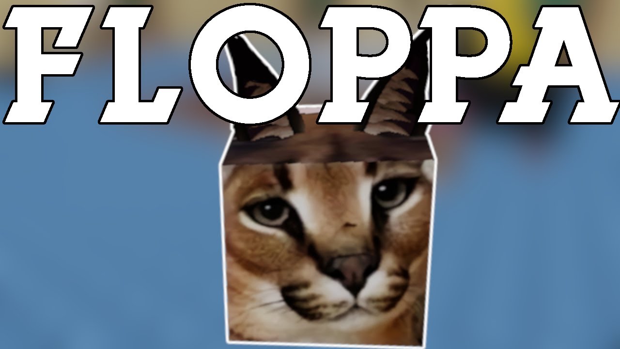 Making Floppa memes is what keeps me alive : r/bigfloppa