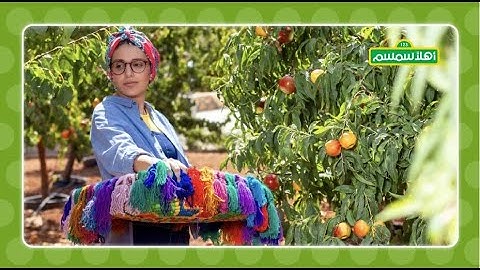من هي سلمى؟