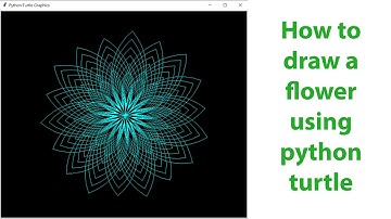 Python Flower Drawing Tutorial: Creating Stunning Floral Art with Turtle Graphics