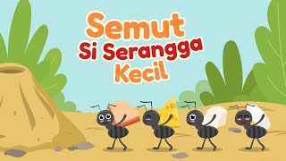 Semut Si Serangga Kecil | Mengenal Serangga: Semut | Video Belajar Anak | Video Edukasi