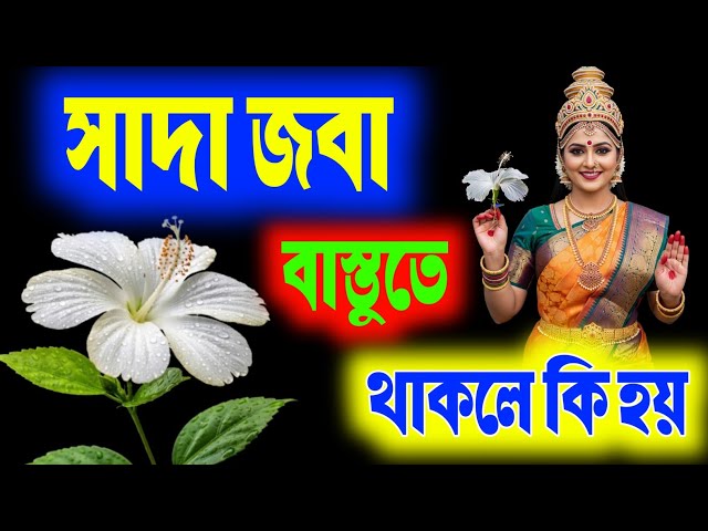 Jinsiy aloqa va yalangoch Golshifteh Farahani