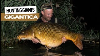 Hunting 100lb Giants at Gigantica | Darrell Peck | Extract