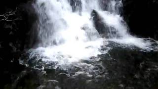 MVI_4893.AVI
