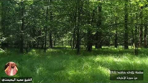 تـلاوات خـاشعة (15)من سورة الزخرف. الشيخ محمد المحيسني az-Zukhruf surat