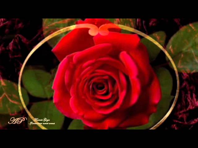 Romantic Strings - If Tomorrow Never Comes