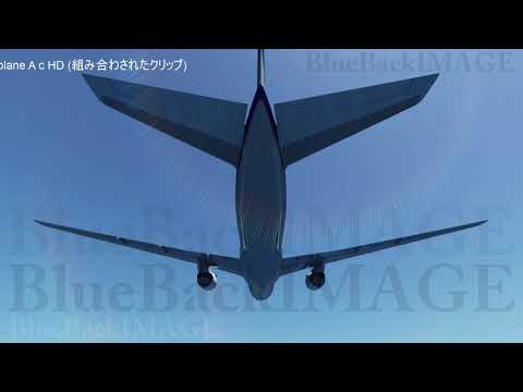 映像素材 動画素材 旅客機 航空機 飛行機 ジャンボ ジェット機 ジェット 旅行 空 空港 交通機関 翼 輸送 Airplane