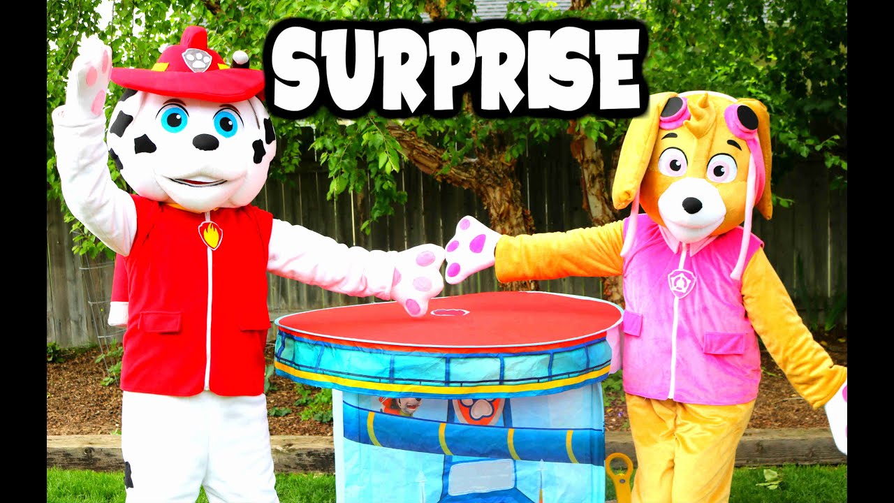 toyota fortuner SURPRISE TENT with Paw Patrol In Real Life Filled with New Paw Patrol Toys with Skye and Marshall