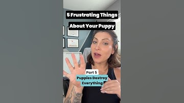 Puppy biting is normal, but frustrating. Learn how to meet their needs & stop the chaos!