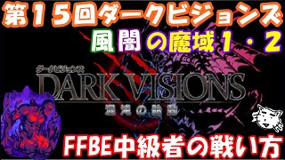 【FFBE】第15回ダークビジョンズ!!風・闇の魔域1・2。悪魔系エリア。FFBE中級者の戦い方(゚∀゚)風で攻略!!【Final Fantasy BRAVE EXVIUS】