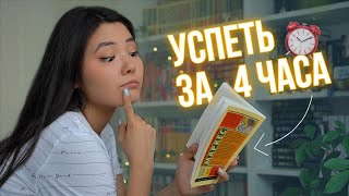 4 книги за 4 часа это РЕАЛЬНО? Марафон тонких книг 📚🔥