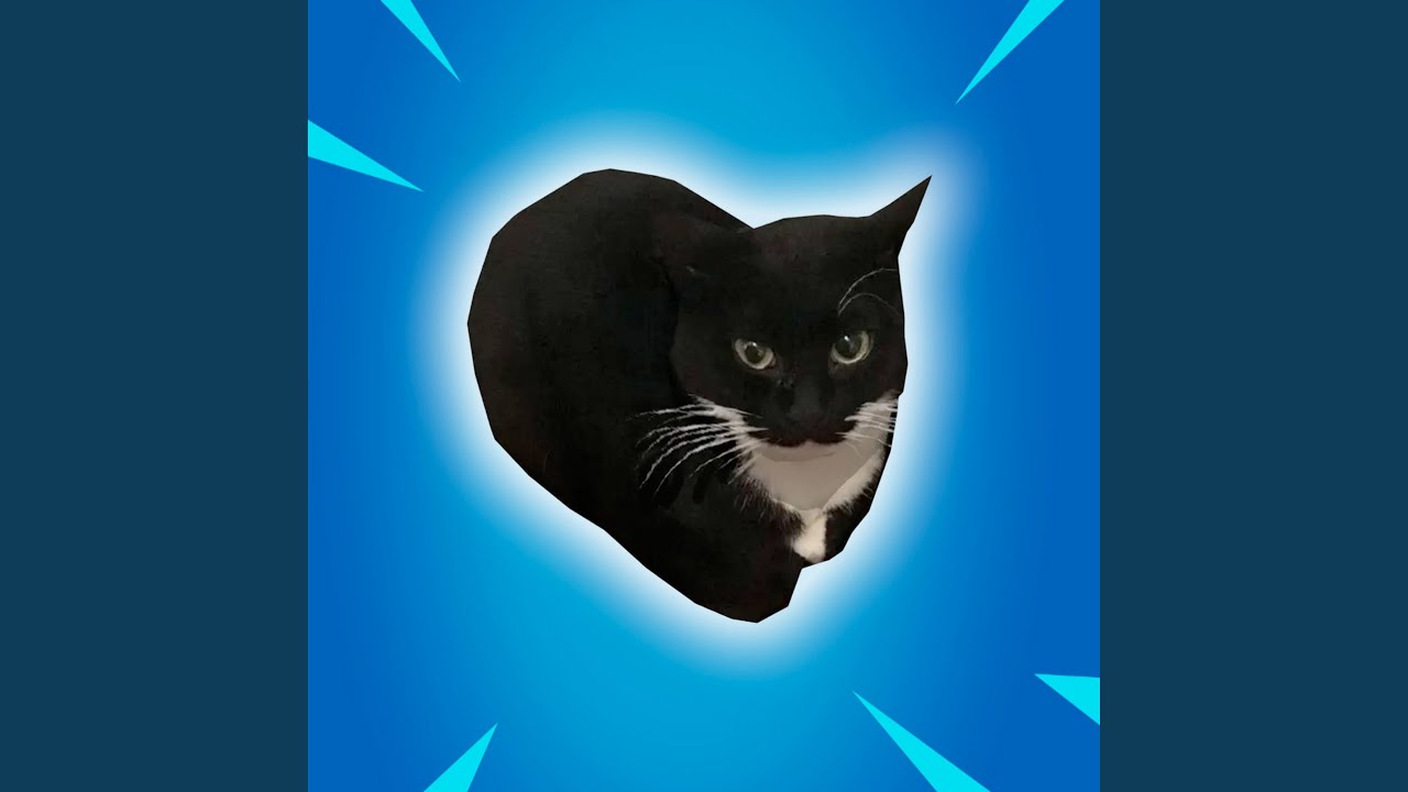 Maxwell the Cat Drip YouTube Music