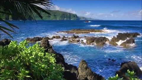 القارئ عبدالولي الاركاني