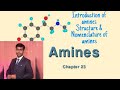 Class 12 Part 1 Amines Introduction Nomenclature of amines