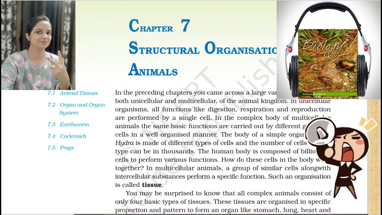 Class11 Ch7 Structural Organization in Animals NCERT Biology(Reading  Only)Part1|NCERT Class11 Audio - YouTube