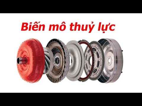 Cấu tạo và
