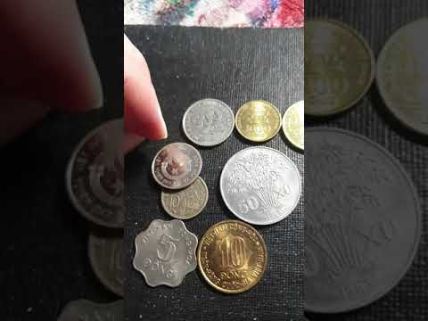 Vietnam coins