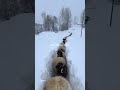 #gilgitbaltistan #shorts #viral #travel #mountains #mountains #nature #trending #snow #love #video
