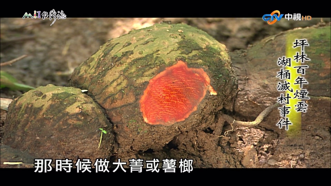 Mit台灣誌 491 坪林百年煙雲 湖桶滅村事件 1080p Youtube