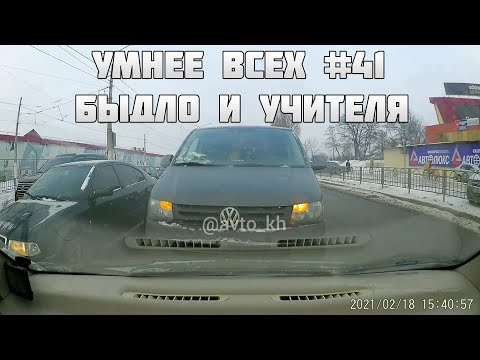 УМНЕЕ ВСЕХ #41. БЫДЛО И УЧИТЕЛЯ НА ДОРОГЕ