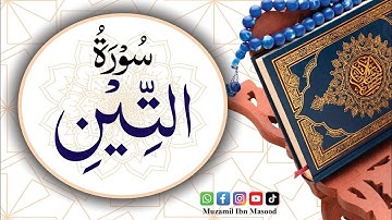 Surat At-Teen (The Fig) | سورة التين | Surat No 95 |