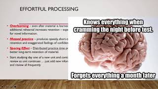 Memory Encoding