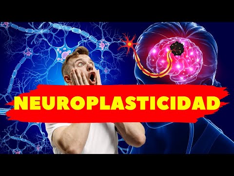 Video: ¿Por qué funciona la plasticidad cerebral?