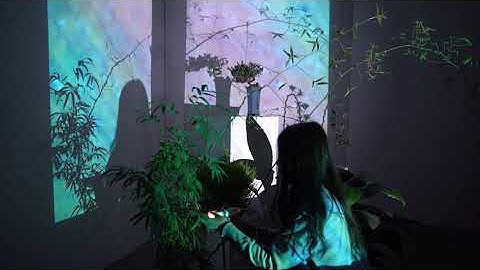 TAME - interactive installation