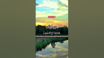 وإذ قال موسى لقومه ياقوم لم تؤذونني وقد تعلمون اني رسول الله اليكم- تلاوة هادئة 🌺🥰