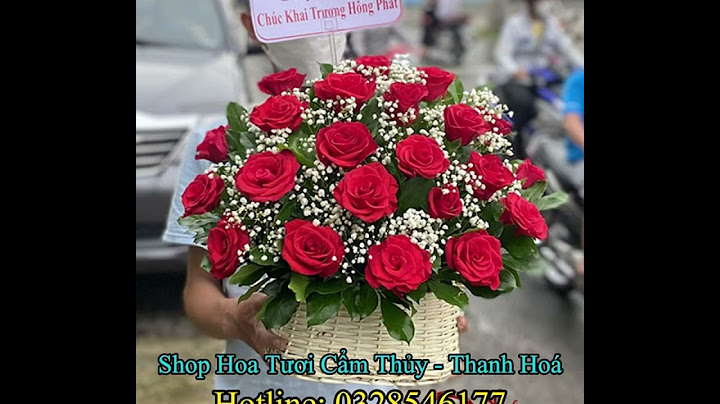 Shop thảo nhím 57 tổ 4 cẩm thủy thanh hóa năm 2024