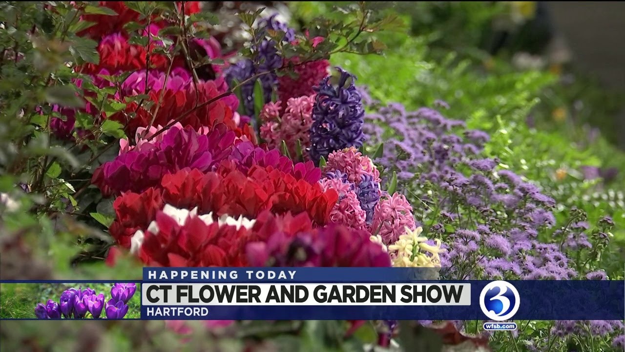 video: flower & garden show set for ct convention center this weekend