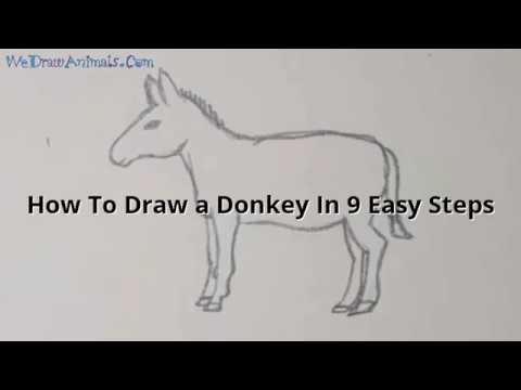 How to Draw a Donkey In 9 EASY Steps - GREAT for Kids & Beginners - YouTube