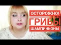 Отравление грибами. Осторожно Шампиньоны! Первая помощь при отравлении грибами. Больница в Турции