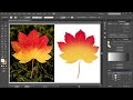 How to Convert a JPEG Image Into a Vector Graphic in Adobe Illustrator