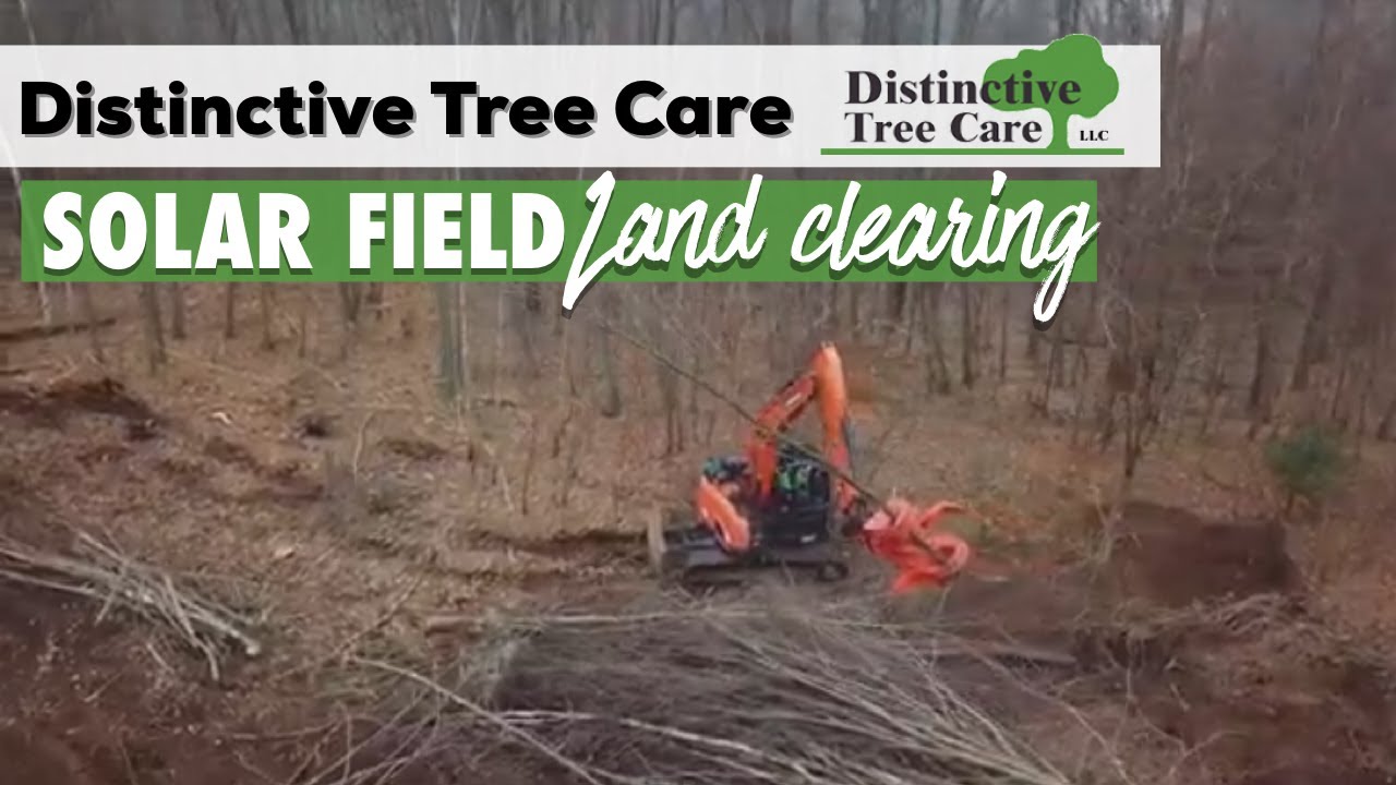 Solar Field Land Clearing I Distinctive Tree Care YouTube