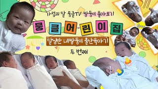 [뭉클 어린이집][달님반#2] 힘들 줄 알았지만, 이렇게 힘들 줄이야!  네 쌍둥이 육아기 | KBS 0109100914 방송