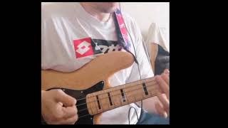 Les Claypool - Boonville Stomp (bass cover excerpt)