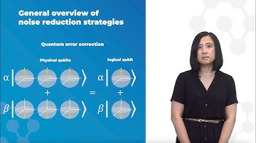 Quantum Error Correction Part 1: General noise reduction strategies -- By Prof. Ng Hui Khoon