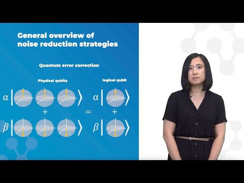 Quantum Error Correction