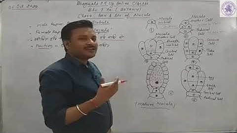 B.Sc. I YEAR ( BOTANY )