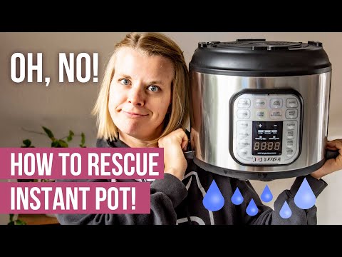 Repair of an Instant Pot Pressure Cooker « Flounderings