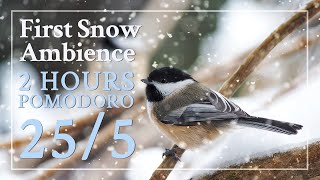 Pomodoro 25/5 - First Snow winter ambience: nature sounds for study, work, concentration