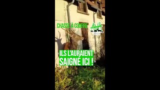 Une partie de chasse à courre fait polémique à Ingrannes avec un