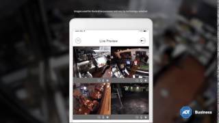ADT Business Cameras