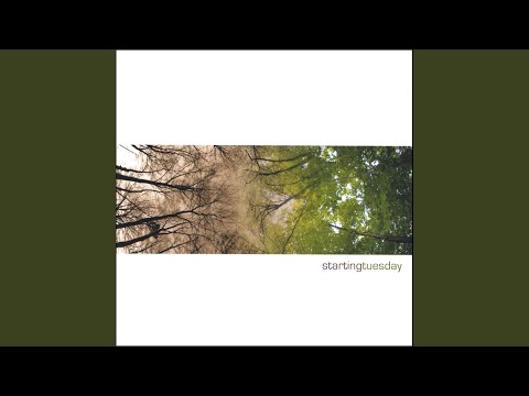 Armies & Nations Video