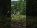Big Crash At Rally Finland