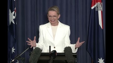 COALITION SPLITS - LIBERAL PARTY PRESS CONFERENCE - SUSSAN LEY ANNOUNCES END OF COALITION 20/5/25