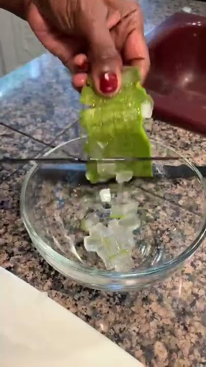 Cara Membuat Gel Aloe Vera Sendiri