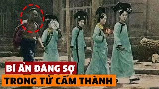 Tổng Hợp MỌI Bí Ẩn Đáng Sợ Trong Tử Cấm Thành Mà Người Trung Quốc Luôn Cố Che Giấu